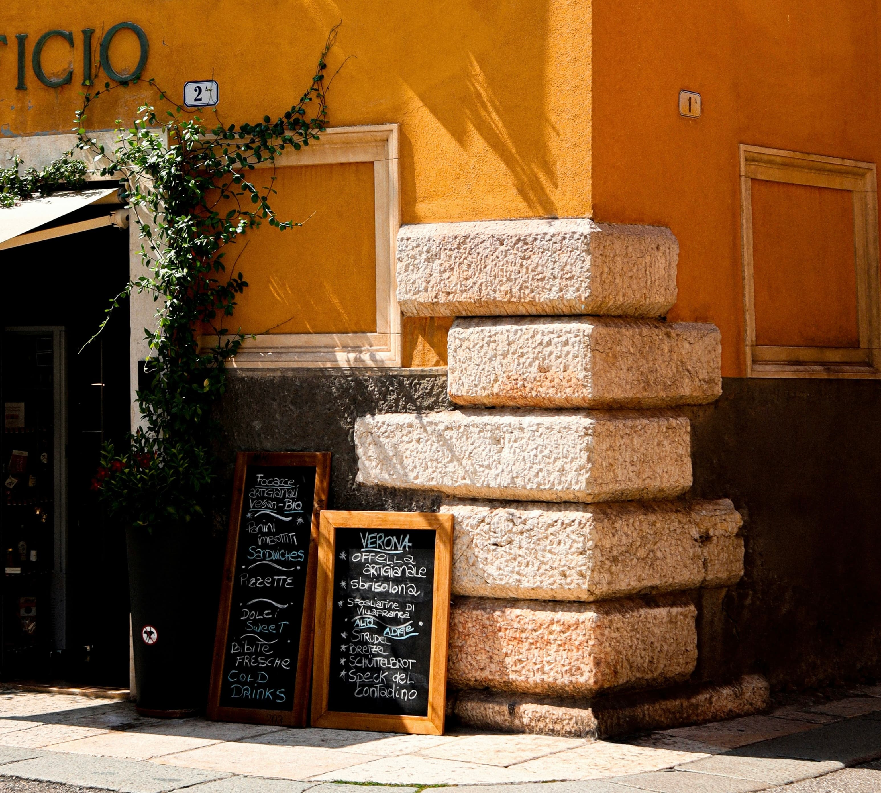Verona panoramic view